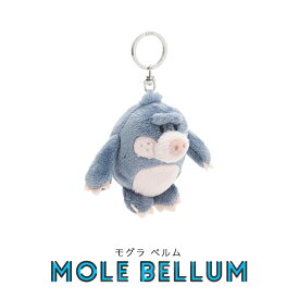 NICI（ニキ）キーリング GH26 モグラ ベルム ダック プーリン /　Key Ring（動物/アニマル/かわいい/キーホルダー/ビーンバッグ/ギフト/プレゼント）