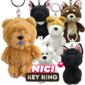 NICIijLjL[O / Key Ring i//Ck/Aj}//킢/L[z_[/r[obO/Mtg/v[gj