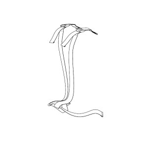 Thule Yepp Nexxt Belt -- Mini. Maxi@X[[CGbvlNXgpxgiO㌓pj@]ԁ@`ChV[giq悹j