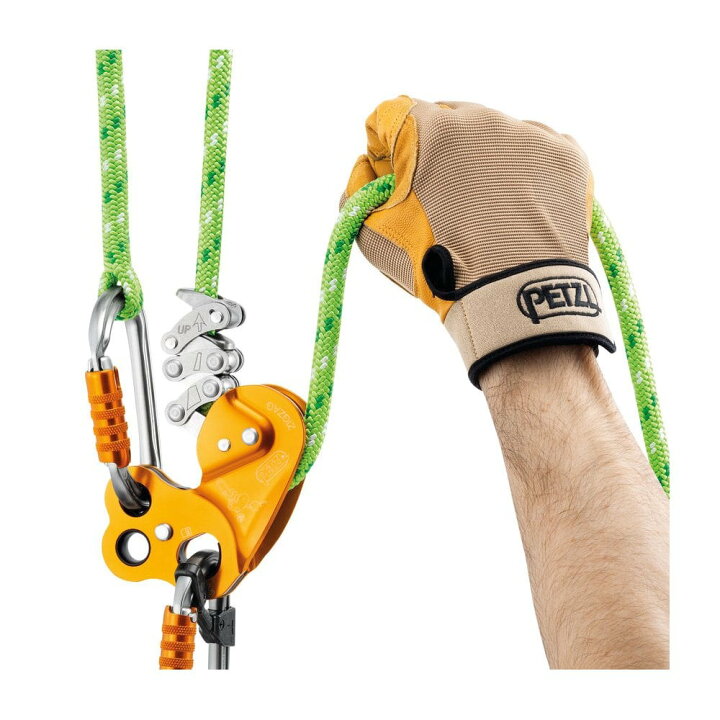 楽天市場】PETZL ジグザグ ディセンダー ZIGZAG ツリーケア : TREE 