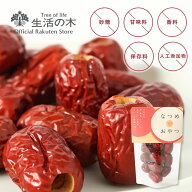 【 生活の木 公式 】なつめのおやつ そのままなつめ 40g | 種除去済 お茶うけ お菓子 おかし ハーブ ハー…