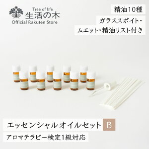 y ̖  zGbZVICZbgB A}es[1 (2020N)Ή A}uhfUCi[Ή | A}IC A}  GbZVIC AEAJ {