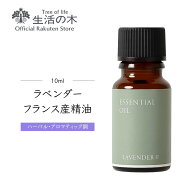 【 生活の木 公式 】ラベンダー・フランス産（真正ラベンダー）精油 / Lavender France 10ml | アロマ ア…