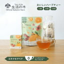 【 生活の木 公式 】おいしいハーブティー エキナセアベア ティーバッグ 10ヶ入 / 30ヶ入 / 100ヶ入 | ハーブ ハーブティー ティーバッグ 女性 ギフト 誕生日 プレゼント オレンジ シナモン ジンジャー ノンカフェイン