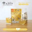 【 生活の木 公式 】おいしいハーブティー マヌカハニージンジャー ティーバッグ 10ヶ入 / 30ヶ入 / 100ヶ入 | ハーブ ハーブティー ティーバッグ 女性 ギフト 誕生日 プレゼント UMF7+ 蜂蜜 はちみつ レモン ノンカフェイン