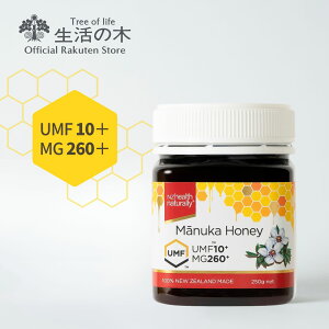 y ̖  z}kJnj[ UMF10+iMG260+j250g j[W[hY | UMFF Ki I ݂͂  ~ a v[g 