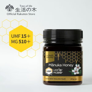 y ̖  z}kJnj[ UMF15+iMG510+j250g j[W[hY | UMFF Ki I ݂͂  ~ a v[g  yVX[p[SALE