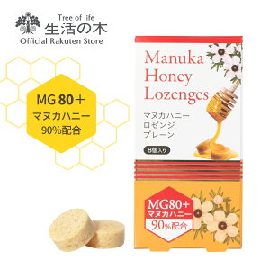 y ̖  z}kJnj[[W (̂ǈ) v[ 8 | Ki ^ubg LfB LfB[ H ~ ^ g y v[g [֑Ή