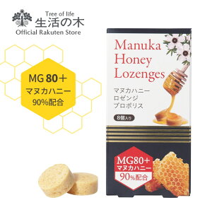 y ̖  z}kJnj[[W (̂ǈ) v|X 8 | Ki ^ubg LfB LfB[ H ~ ^ g y v[g [֑Ή