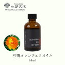 【 生活の木 公式 】有機カレンデュラオイル (浸出油) / Organic Calendula (Infused) 60ml | 植物油 プラントオイル Plant oil キャリアオイル トリートメント トウキンセンカ マリーゴールド