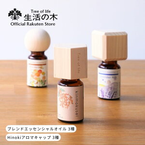 y ̖  z؍҃uh{lCuhHinokiA}Lbve3Zbg | A} A}IC  GbZVIC ؍ LNZC VgX IW 