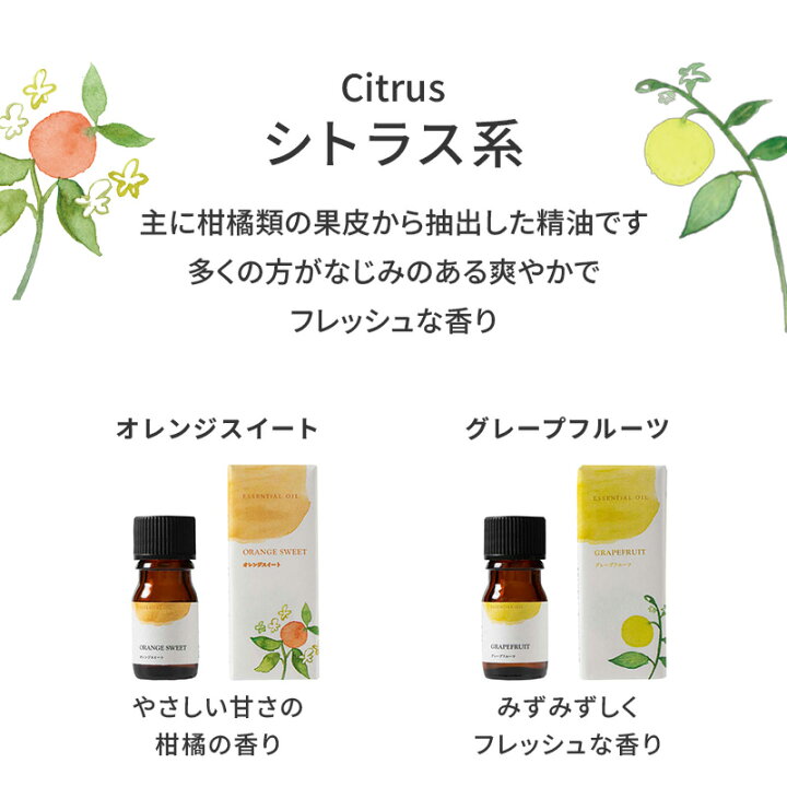 楽天市場】【 生活の木 公式 】人気アロマ 選べる3本セット 5ml 