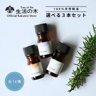 【 生活の木 公式 】人気アロマ 選べる3本セット 5ml | アロマ アロマオイル 精油 エッセンシャルオイル …