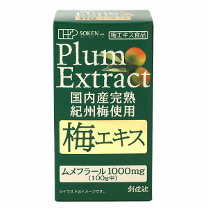 y݌ɋ͏zn YnIB~100 ~GLX 90g@~,GLX,Y,N,h{,n~,t[,Tvg,