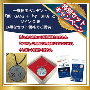 �y�����Z�b�g�z�\��_��y���_���g�@�w�� GAN�x+�w�� SHU�x+�c�C��Q
