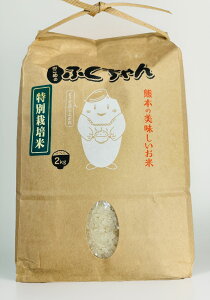 y2025NVāEzF{Y@āiɂ܂jĂ̂ӂ@2kg@_sgpEw엿sgp@F{,܂,,_sgp,w엿sgp,i,H,i