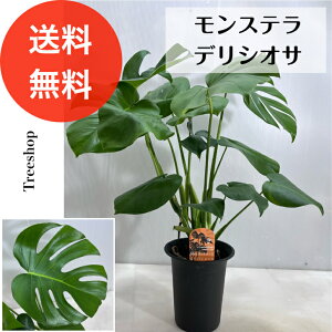 yϗtAz Xe yz15cmv 0.7m lC  CeA C N