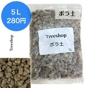 {y 嗱  5L ʋC  r BY  ߍ K[fjO ƒ؉ |pi