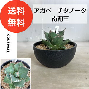 AKx `^m[^ eyz0.15mi݁j0.1m 18cmv A hCK[f CeA ϗtA ϊ