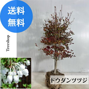 hE_ccW yz Hnc 0.5m 0.3m c }  c  A t gt