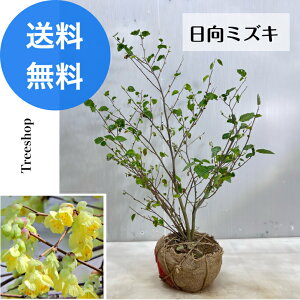 qEK~YL yz ~YL Hnc 0.6m 0.5m LO a R A  c