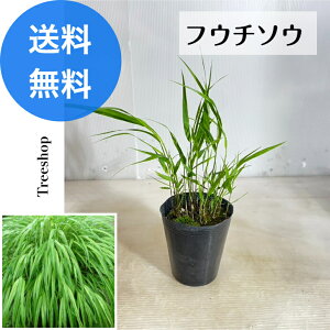 tE`\E yz 10.5cm|bg 0.2m 0.2m m EnOT t J[[t OhJo[ OX 񂹐A nMO  N A