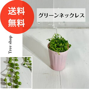 O[lbNX yzA 7.5cm|bgc  鐫 CeAO[