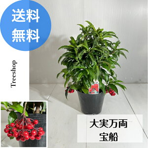 ������� ��D �y���������z �}�������E ���� �Ԏ� ����0.3m ��0.3m 15cm�|�b�g ���� ��� �A�� ���