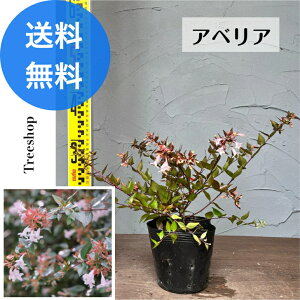 AxAyz 15cm|bg 0.25m 0.2m Β 񂹐A OhJo[ Ԓd _ A ~  ډB