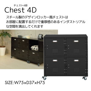 bJ[ `FXg4D W75×D37×H75 ubN  X`[ LX^[t TChS fXN wK Zbg I bN bJ[^ AJiTPN-31BKjVi
