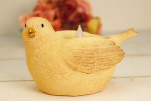 Lintu gD \[[Lh K[fCg  plt \[[Cg O LED Lh z   K[fCg