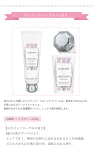 WX`A[g nhN[ Mtg XgCv{bNXZbg  a Iׂ WX`A[gnhN[ 30mlMtgZbg uhi [~Xg ޏ a  J