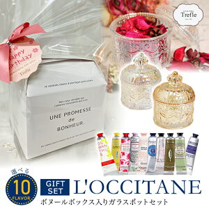 NV^ nhN[ Mtg fG KX|bg {k[{bNX |v    Iׂ NV^nhN[ 30ml 1{ MtgZbg   ޏ FB 20 3