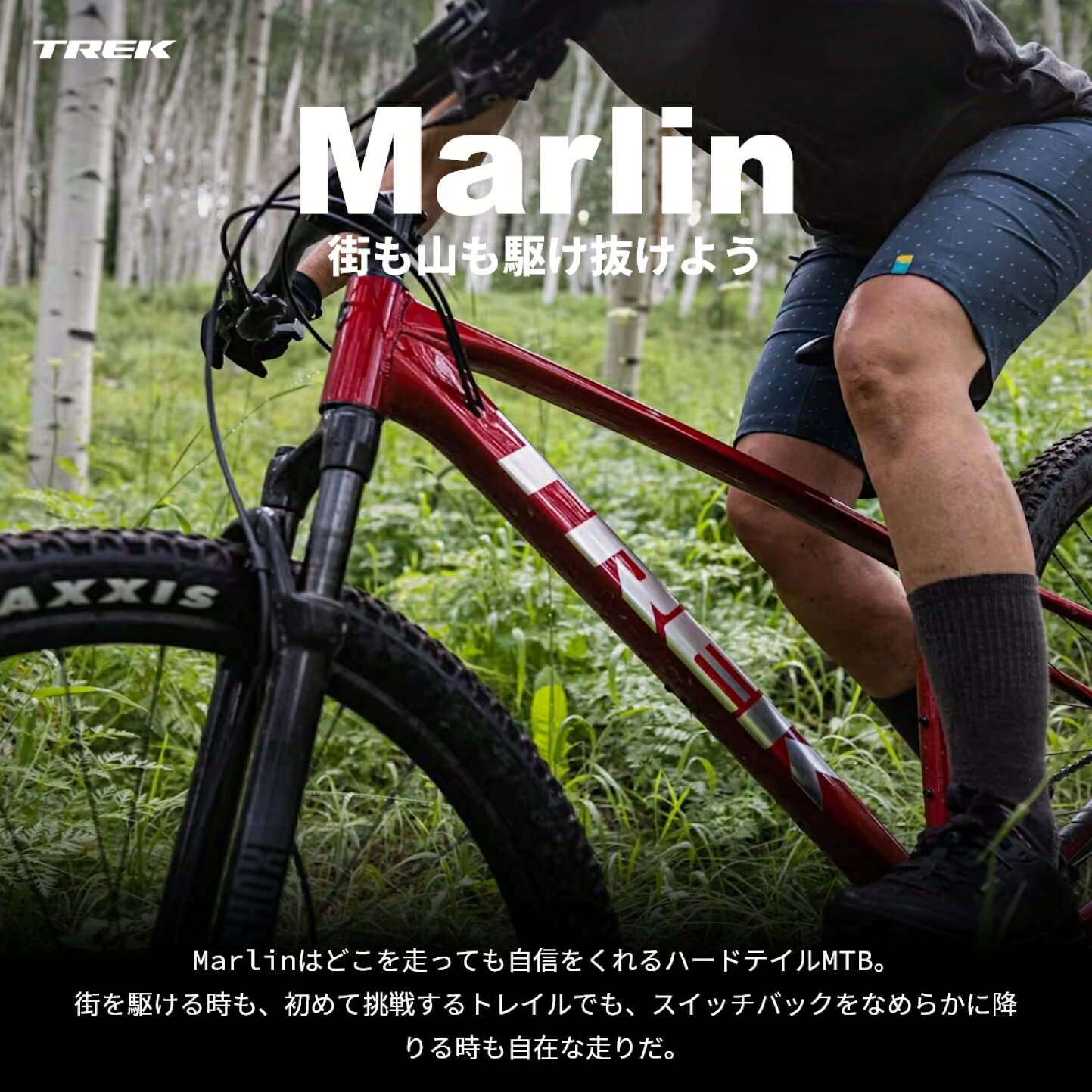 楽天市場 | トレック公式楽天市場店 - 米国発の高品質な自転車ブランド