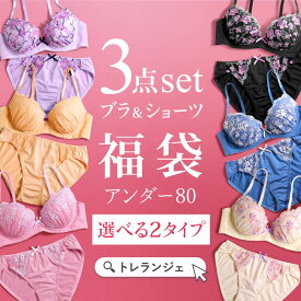 7％OFF【送料無料】 ブラジャー ショーツ 3点セット 福袋 選べる5タイプ おまかせ 刺繍レース おしゃれ シンプル B80 C80 D80 E80 F80 3点セット アンダー80 アンダー大きいサイズ アンダー80 下着 レディース インナー ブラ ブラセット ブラショーツ 上下セッ 全5色 B80-F80