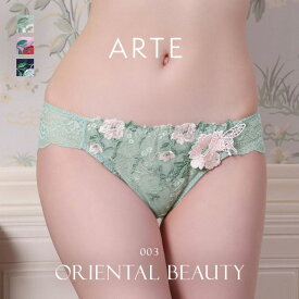 【67%OFF・11/11(火)9:59まで】 メール便 ARTE 003シリーズ ショーツ スタンダード M L バックレース ランジェリー レディース trelinge 全3色 M-L ev_sp him_ev_sp