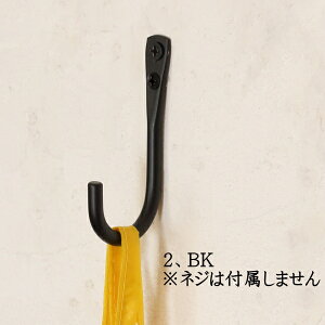 tbN ACA   |  CeA ׂ X  S[h