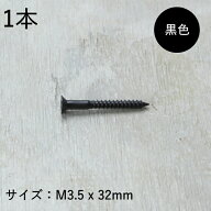 皿木ねじ (1本) + プラス 十字穴 (ステンレス/黒 ブラック)