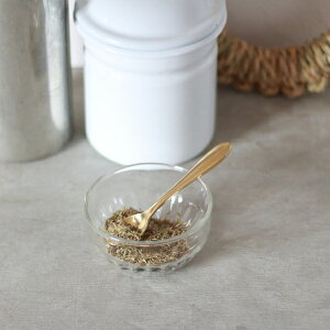 Xv[  ~j ^J XpCXXv[ Xv[  S[h