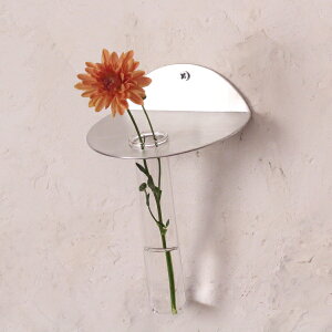 ֑} ԕr KX Ǌ|  Mtg  A~x[X VO