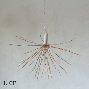 LED Cg C[ fR[V u[~O S