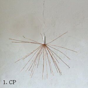 LED Cg C[ fR[V u[~O L