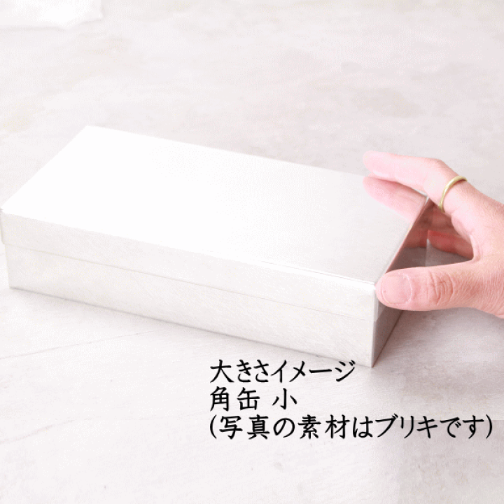 楽天市場】SyuRo（シュロ）ブリキ角缶 小（1個）カンカン 長方形