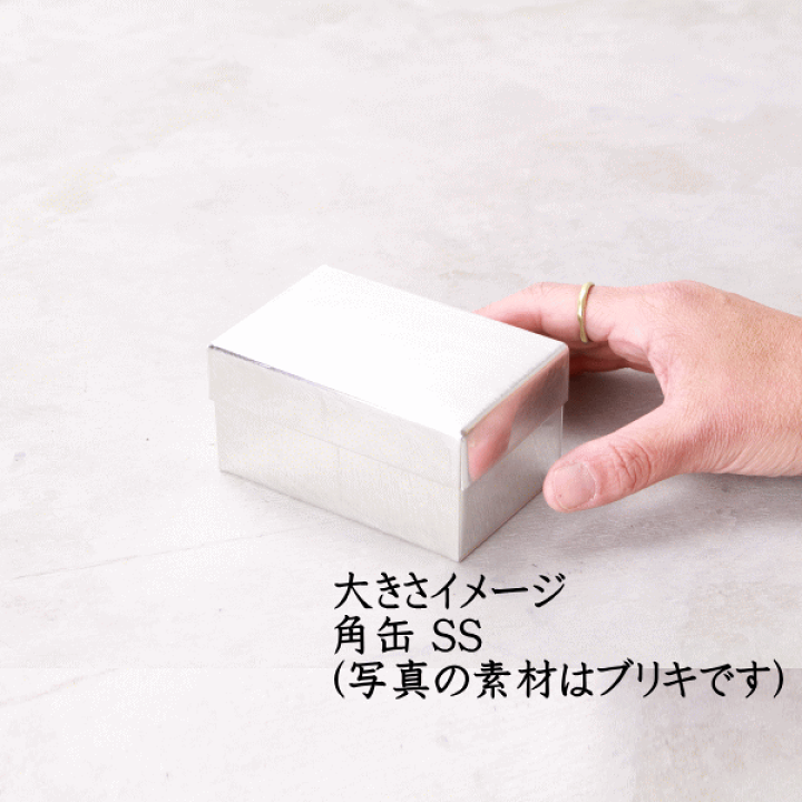 楽天市場】SyuRo（シュロ）ブリキ角缶 小（1個）母の日 母の日