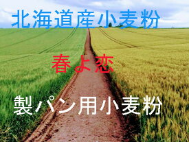 強力粉 春よ恋3.0kg×2個 北海道産小麦として高い評価を受けている「春よ恋」を100％使用した強力小麦粉。ブランド 増田製粉所100％、加工なし。小分け パン作り お菓子作り 手作り パン材料 お菓子材料。吸水率が高く、内麦特有のもちもちした食感のパンができます。