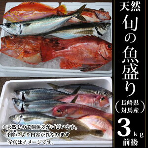 魚 ギフト お歳暮 その他の魚介類の人気商品 通販 価格比較 価格 Com 魚 ギフト お歳暮 その他の魚介類の人気商品 通販 価格比較 価格 Com