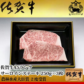 佐賀牛 A5 ランク サーロイン ステーキ 250g×3枚 合計750g 農林水産大臣賞受賞 生産者直送 ギフト 贈答品 お歳暮