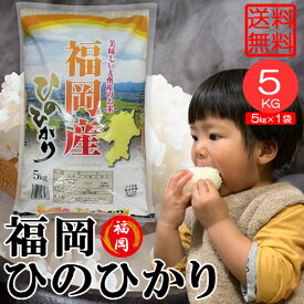 米5kg 米 お米 5kg ひのひかり ヒノヒカリ 1袋 送料無料 こめ 白米 精米 福岡県産