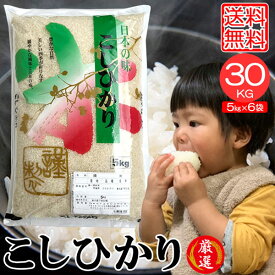 米30kg 米 お米 30kg コシヒカリ こしひかり 5kg×6袋 セット 送料無料 こめ 小分け 精米 つきたて米 宮崎県産