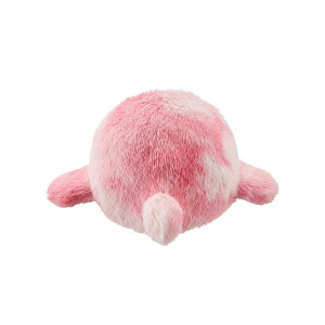 lopeto �t�@�[�R�[�g ���y�b�g ���y�g �A�N�Z�T���[ �I�ׂ�5�F MY-RTFU01-A